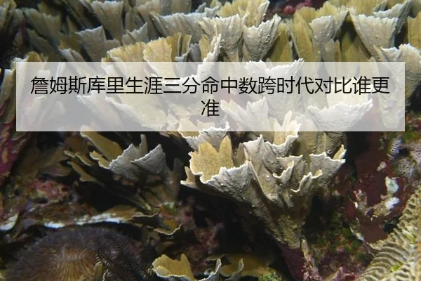 詹姆斯库里生涯三分命中数跨时代对比谁更准
